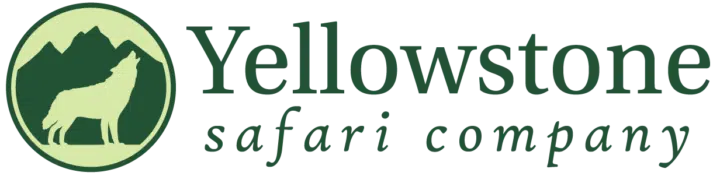 Yellowstone Safari Company logo